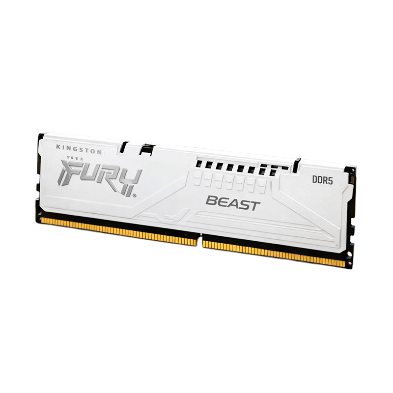 Memoria Kingston Fury Beast, 16GB DDR5 -5600Mt/S,Cl36, 1.25 Vlleva Tu Rendimient
