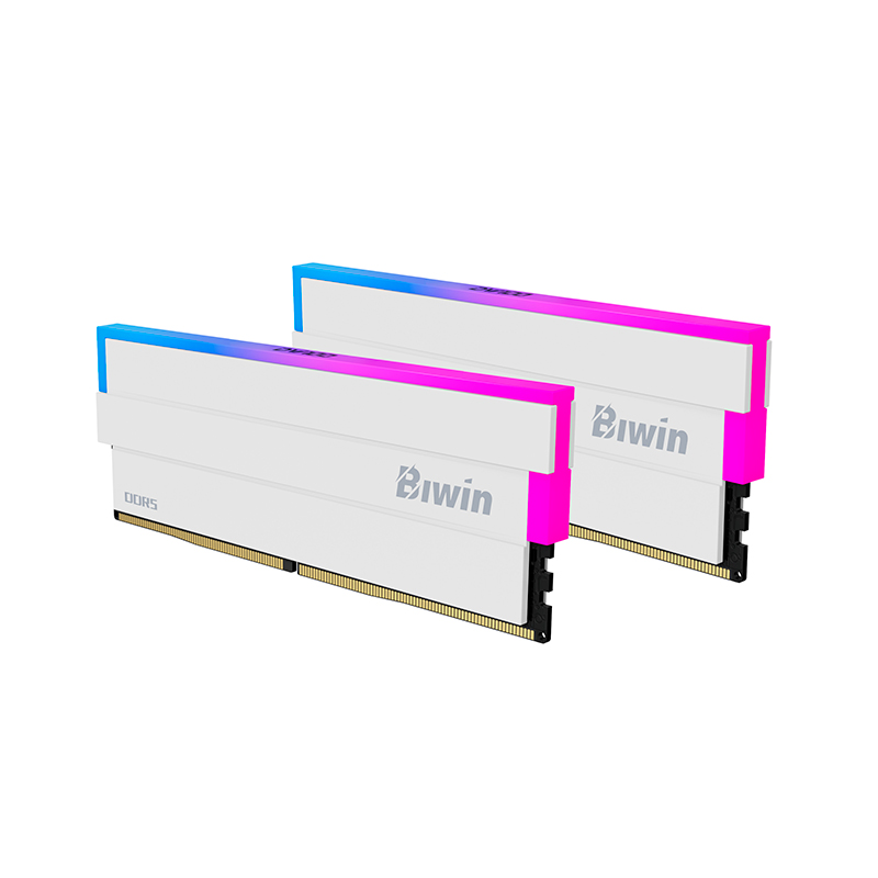 Memoria Udimm Biwin Black Opal Dw100, 32GB (2X16Gb) Ddr5-6000, Pc5-48000, Rgb, Cl28,