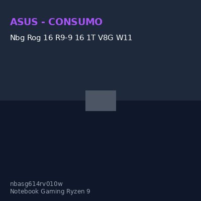 R Nbg Rog 16 R9-9 16 1T V8G W1