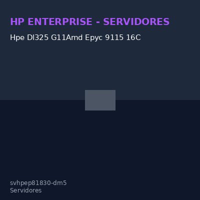 Hpe Dl325 G11Amd Epyc 9115 16C