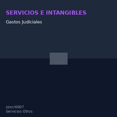 Gastos Judiciales